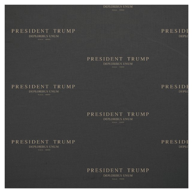 Tela Presidente Trump. Deploribus Unum. (Retal)