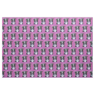 Tela Psicodelia Moon Dog Border Collie Fabric