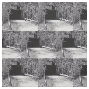 Tela Puente cubierto