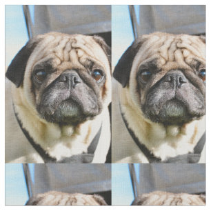 Tela Pug