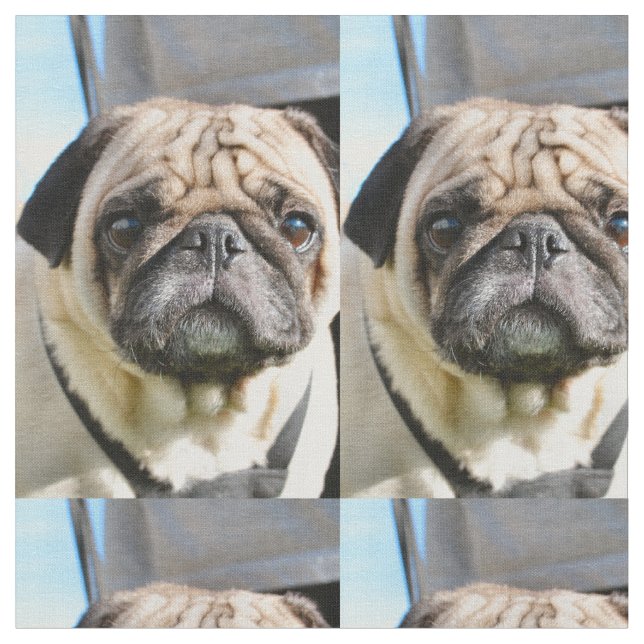 Tela Pug (De cerca)