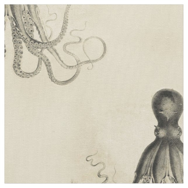 Tela Pulpo varado (De cerca)