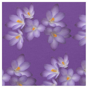 Tela púrpura de la flor del azafrán de la