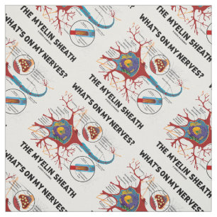 Tela ¿Qué hay en mis nervios? La Sheath de Myelin