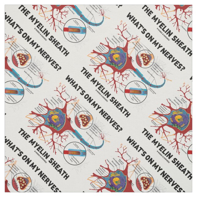 Tela ¿Qué hay en mis nervios? La Sheath de Myelin (Retal)