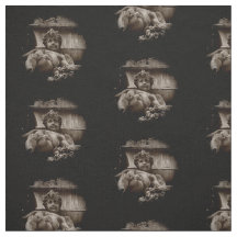 Tela quebrada de la querube