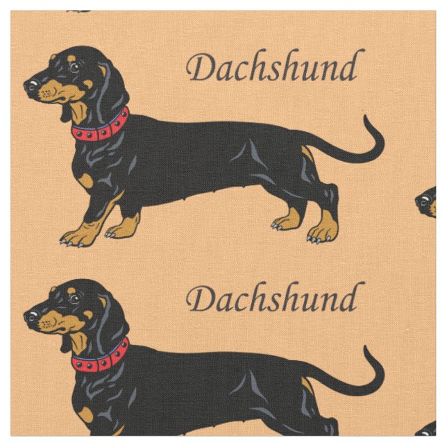 Tela Raza de perro de Dachshund (De cerca)