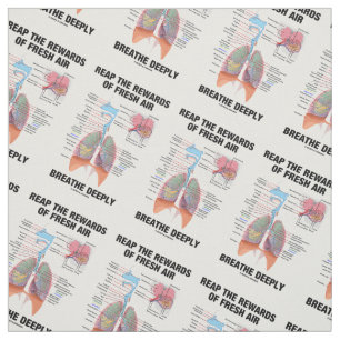 Tela Recoge Las Recompensas De La Respiración Del Aire