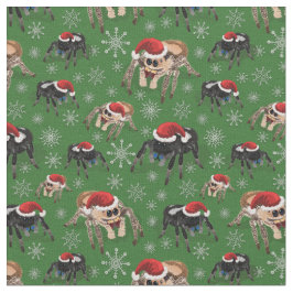 Tela Regal Jumping Spider Phiddipus Regius Holiday Moss