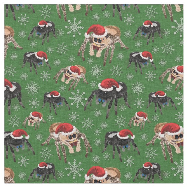 Tela Regal Jumping Spider Phiddipus Regius Holiday Moss (De cerca)