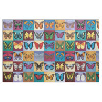 Remiendo de la mariposa