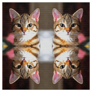 Tela Retrato artístico de gatos gatos gatos gatitos