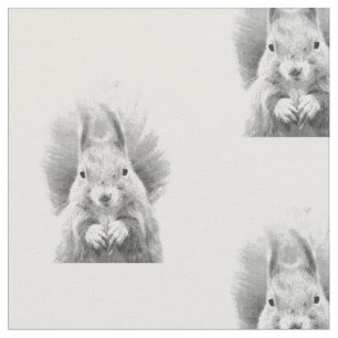 Tela Retrato blanco y negro de la ardilla