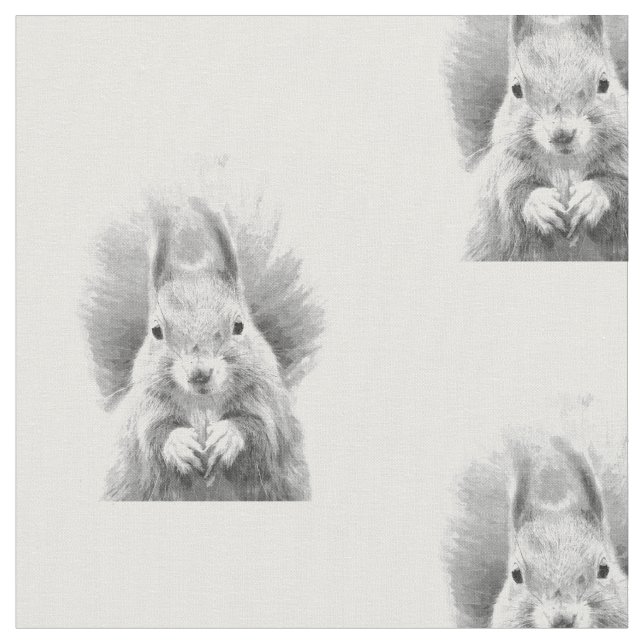 Tela Retrato blanco y negro de la ardilla (De cerca)