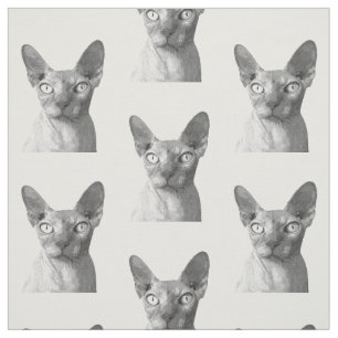 Tela Retrato de gato negro y blanco