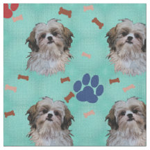 Retrato de Shih Tzu