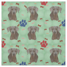 Retrato de Weimaraner