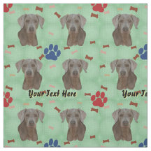 Retrato de Weimaraner