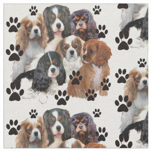 Tela Retrato del grupo Cavalier Spaniels