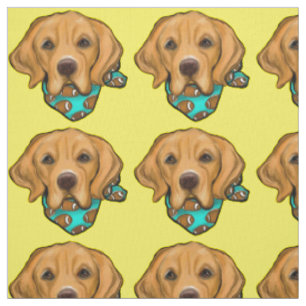 TELA RETRIEVER DORADO