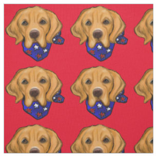 TELA RETRIEVER DORADO