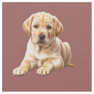 Tela Retriever Labrador Amarillo