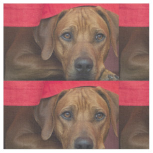 Tela rhodesian-ridgeback