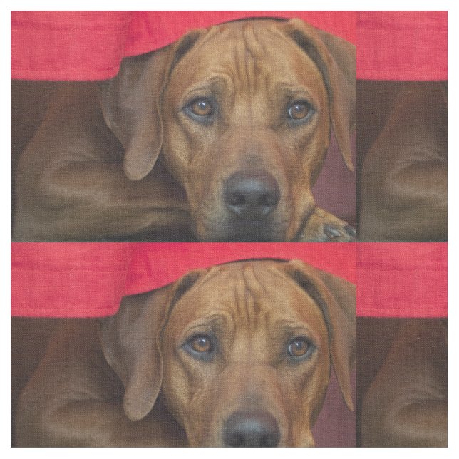 Tela rhodesian-ridgeback (De cerca)