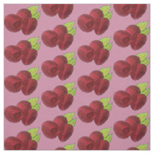 Tela Ripe Raspberry Raspberries Berry Fruit Berries