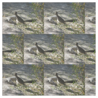 Tela Roadrunner