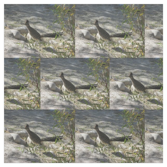 Tela Roadrunner (Retal)