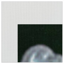 Rococo Frames | Velvet verde Dk |