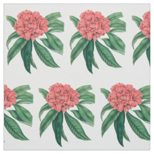 Tela Rododendro rosado