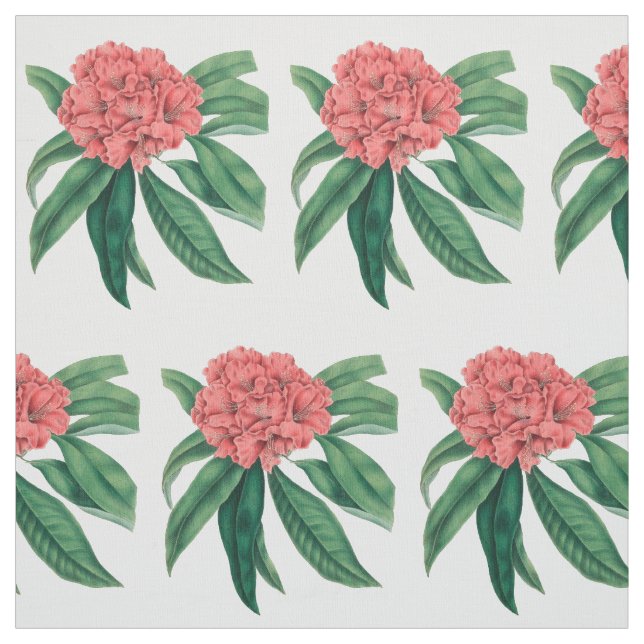 Tela Rododendro rosado (Retal)
