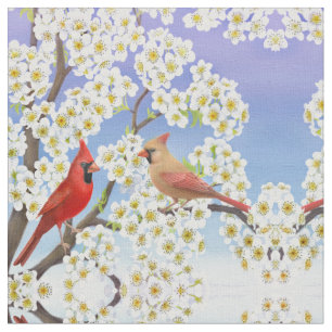 Tela roja cardinal de los pares del pájaro