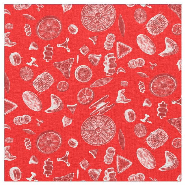 Tela Rojo de diátomos (De cerca)