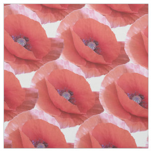 Tela rojos de amapolas.