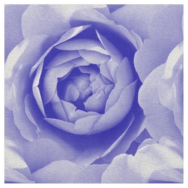 Tela Rosa azul (De cerca)