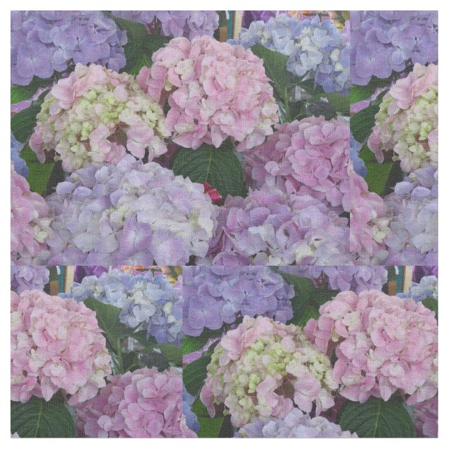 Tela Rosa azul púrpura de Hydrangia (De cerca)