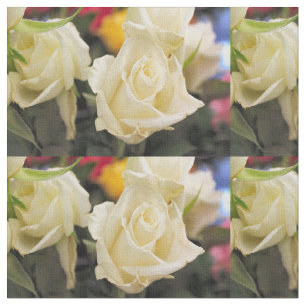 Tela Rosa blanco