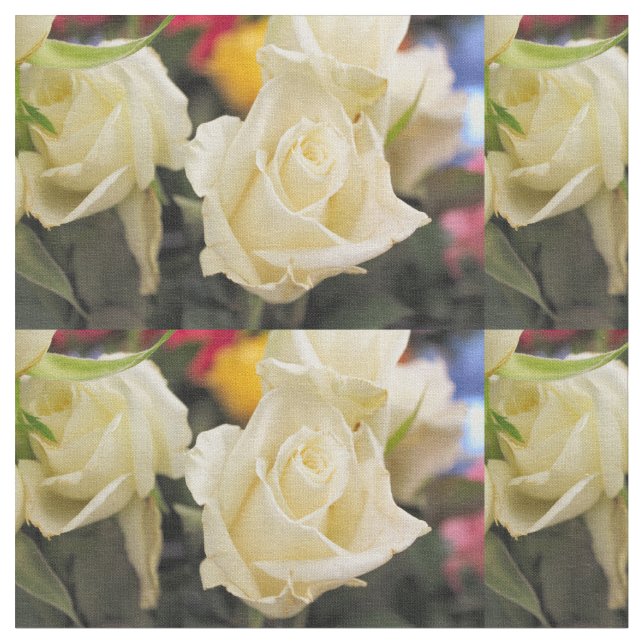 Tela Rosa blanco (De cerca)