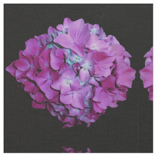 Tela Rosa morado magenta Hidrangea