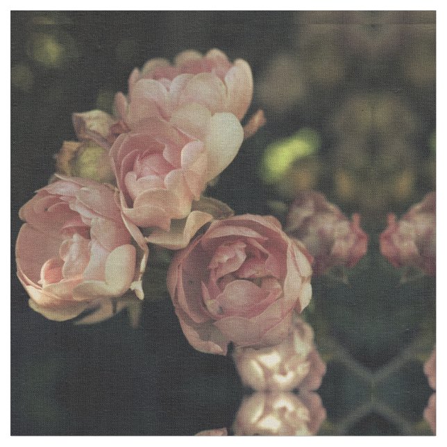 Tela Rosas (De cerca)