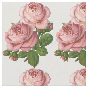 Tela Rosas del vintage