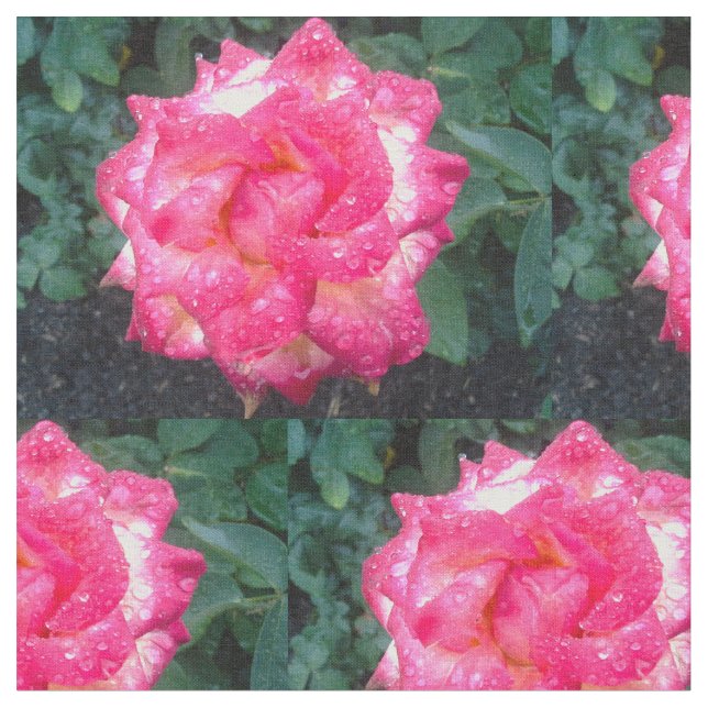 TELA ROSAS ROSAS ROSAS Y ROMPAS DE LLUVIA (De cerca)