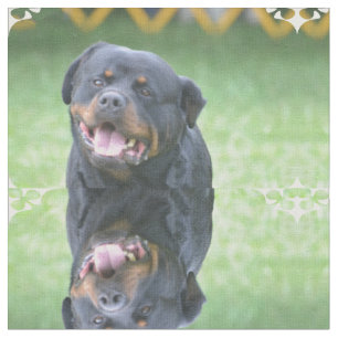 Tela Rottweiler sonriente