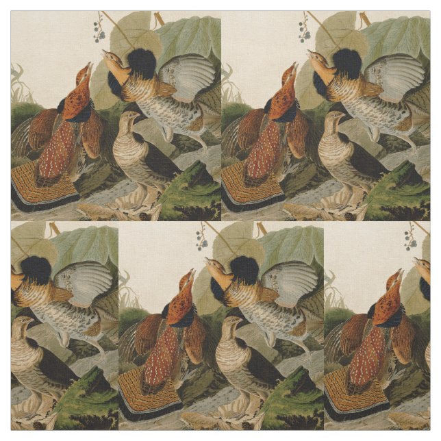 Tela Ruffed Grouse Audubon Game Bird (Retal)