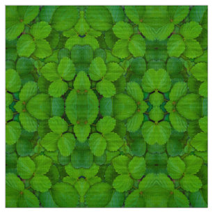 Tela Sacro Basil Hojas de la Moneda Verde de Tulsi