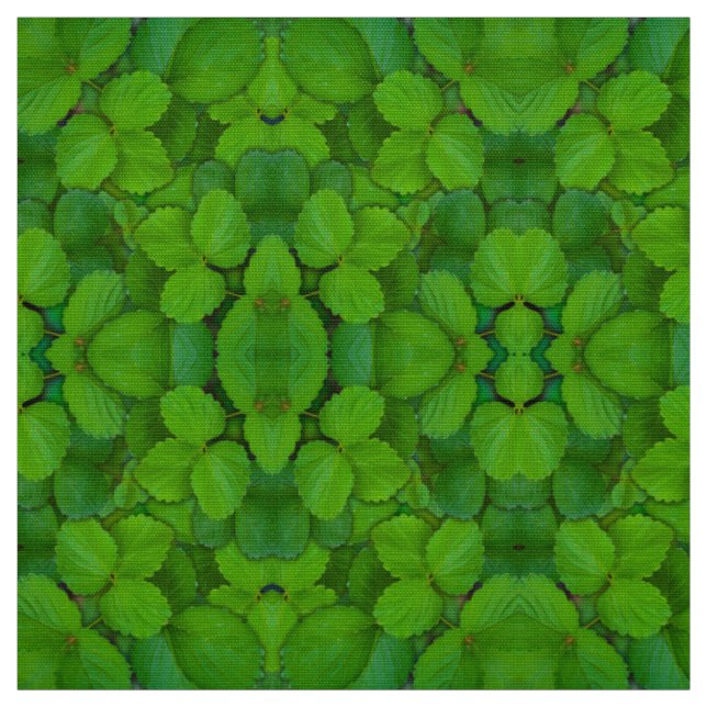 Tela Sacro Basil Hojas de la Moneda Verde de Tulsi (Retal)
