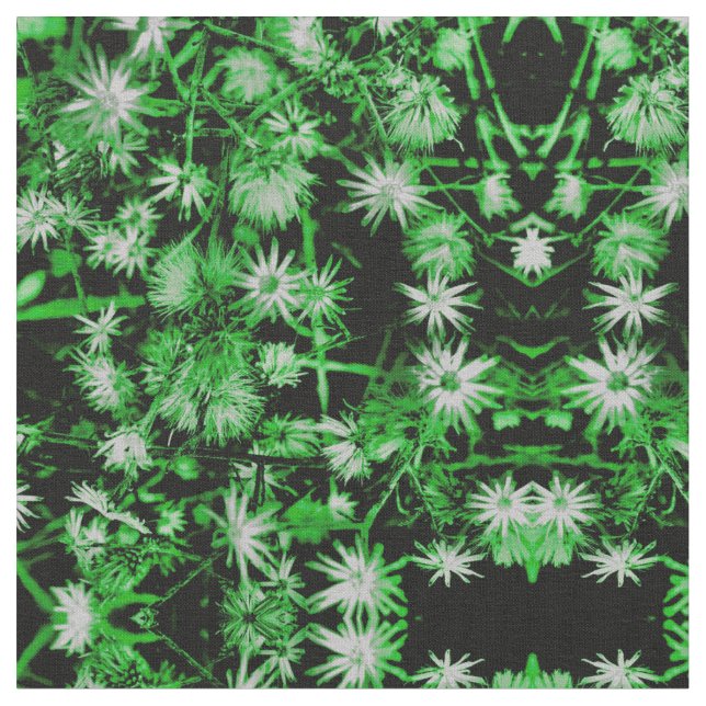 Tela Saint Patrick Daisy (De cerca)